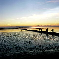 Nationalpark Wattenmeer